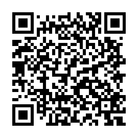 QR code for 3T9509