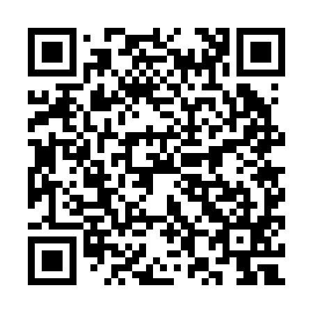 QR code for 3X7295