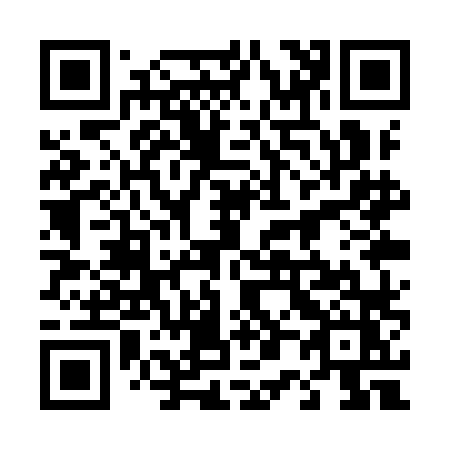 QR code for 401-YLZ