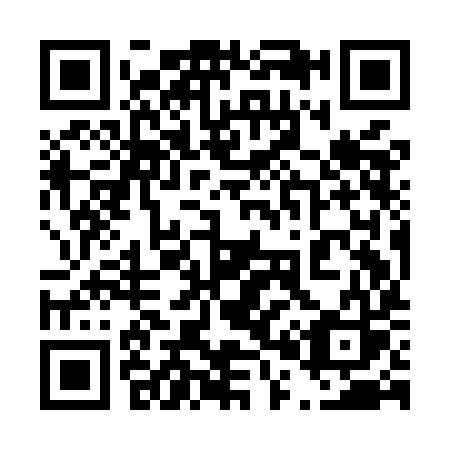 QR code for 409MIS