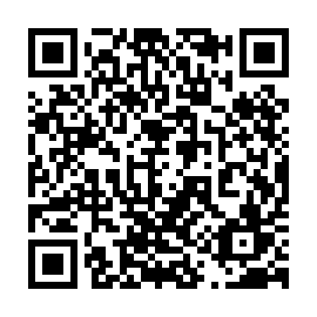 QR code for 411-PAV