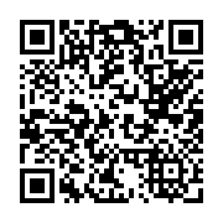 QR code for 411236