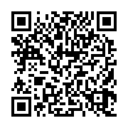 QR code for 411368