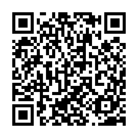 QR code for 411565