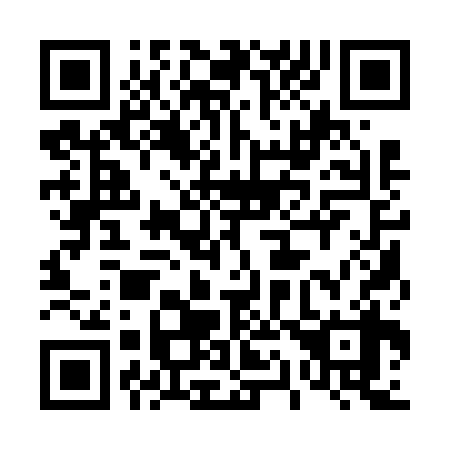 QR code for 411638