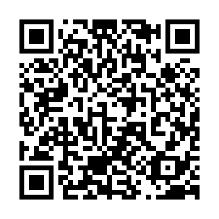 QR code for 411838
