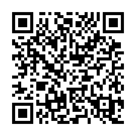 QR code for 411CHI