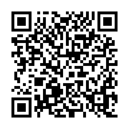 QR code for 411IIN