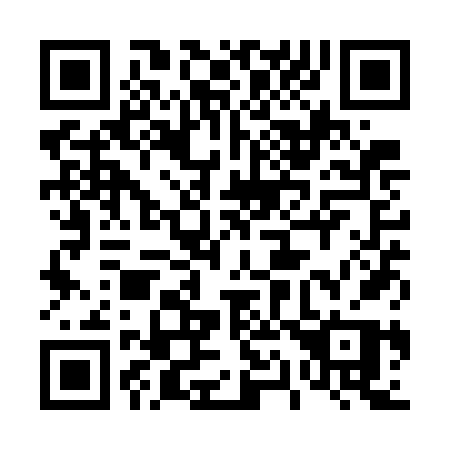 QR code for plate 411-WFP