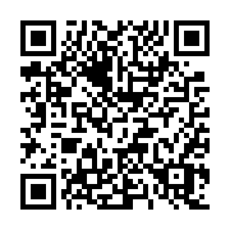 QR code for 416-VTV