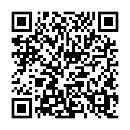 QR code for 419-ALL