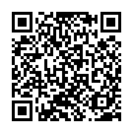 QR code for 419581