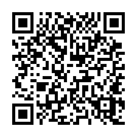 QR code for plate 419-SMX
