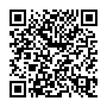 QR code for plate 419-XSA