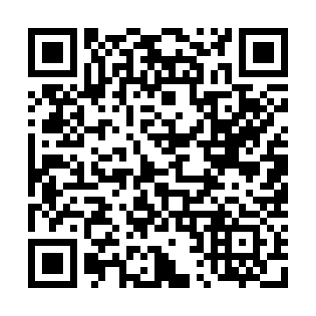 QR code for 425333