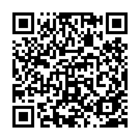 QR code for 425THE