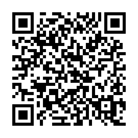 QR code for 441-IIM