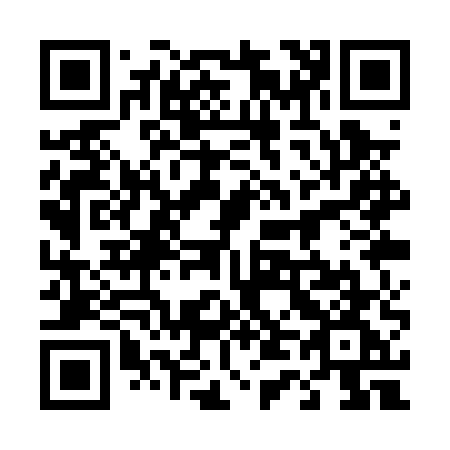 QR code for 441-PUG