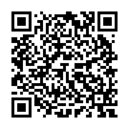 QR code for 441295