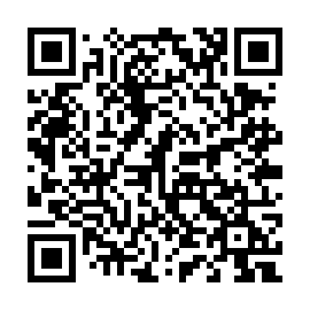 QR code for 441TOE