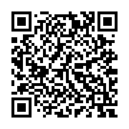 QR code for 447-PIZ