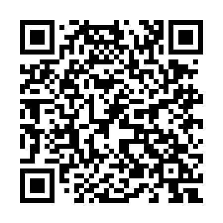 QR code for plate 451-DFG