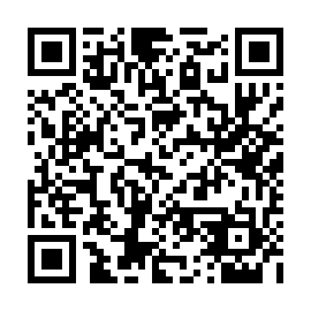 QR code for 453033