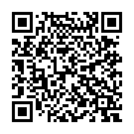 QR code for plate 453-DHR