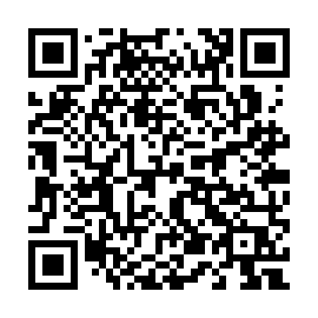 QR code for plate 453-SMP