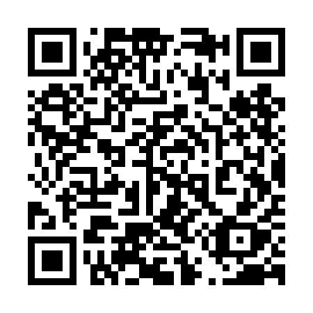QR code for plate 453-TAX