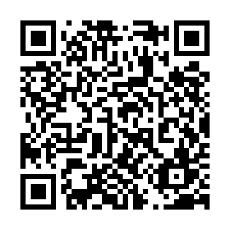 QR code for plate 453-UAV