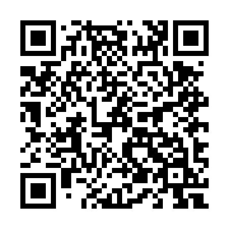 QR code for 455-DYN
