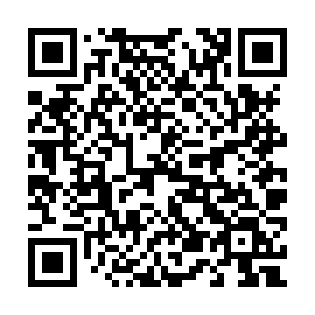 QR code for plate 456-HZL