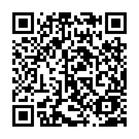 QR code for 461-SOE