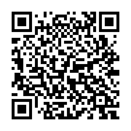 QR code for 461-SRF