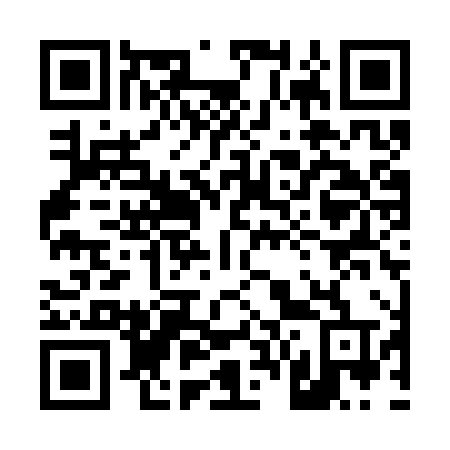 QR code for plate 461-SXT