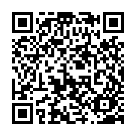 QR code for 462-LUO