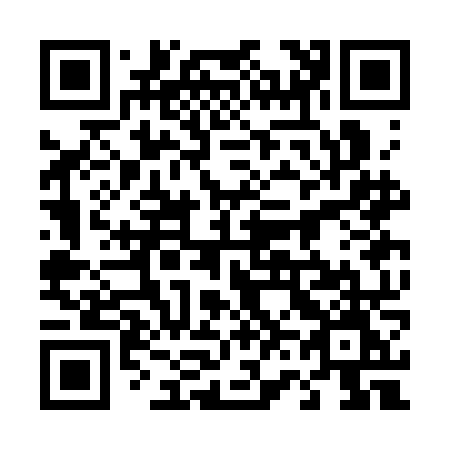 QR code for 463-CNM