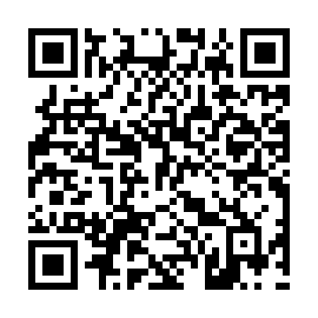 QR code for 463-IZB
