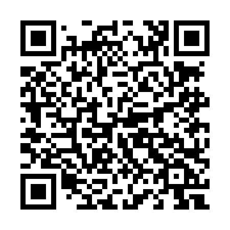 QR code for 463-LLF