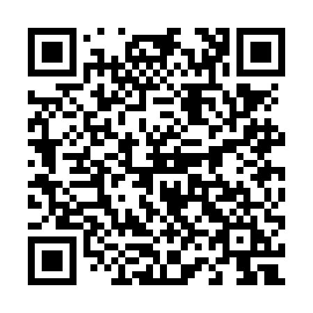 QR code for 463-NEI