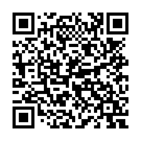 QR code for 463-NZU