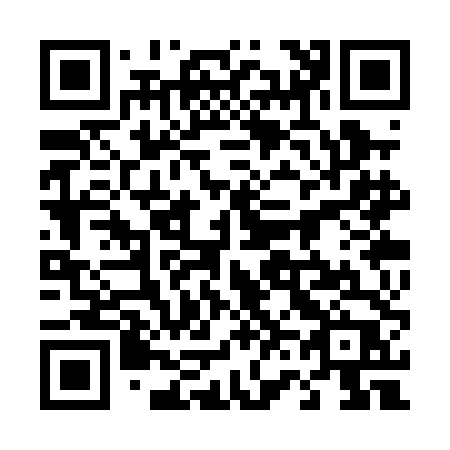 QR code for 463-PDP