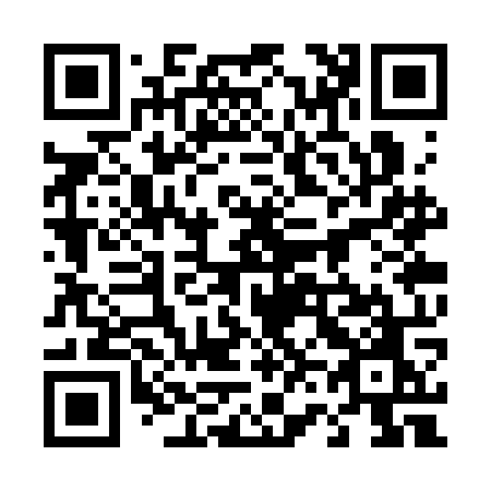 QR code for 463-SOO