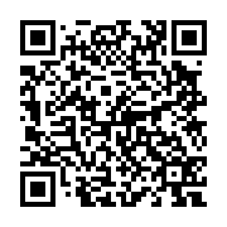 QR code for 463036