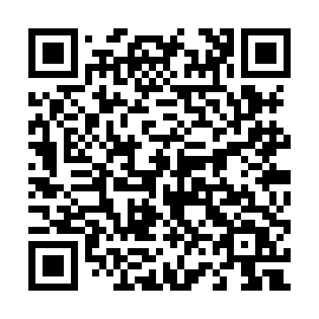 QR code for plate 463-XDT