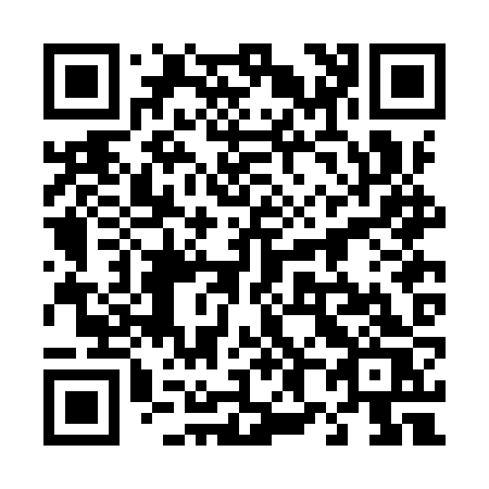 QR code for 482IZS