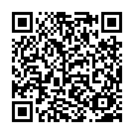 QR code for plate 488-SGO