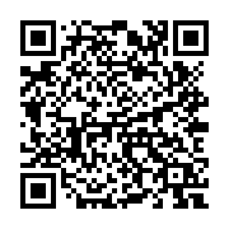 QR code for plate 488-ZZP