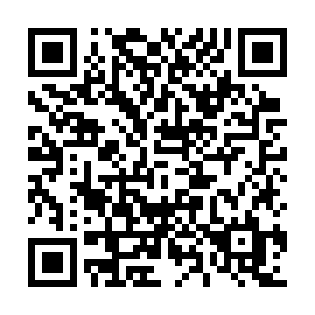 QR code for 489-CZL